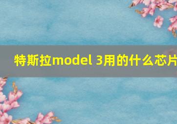 特斯拉model 3用的什么芯片